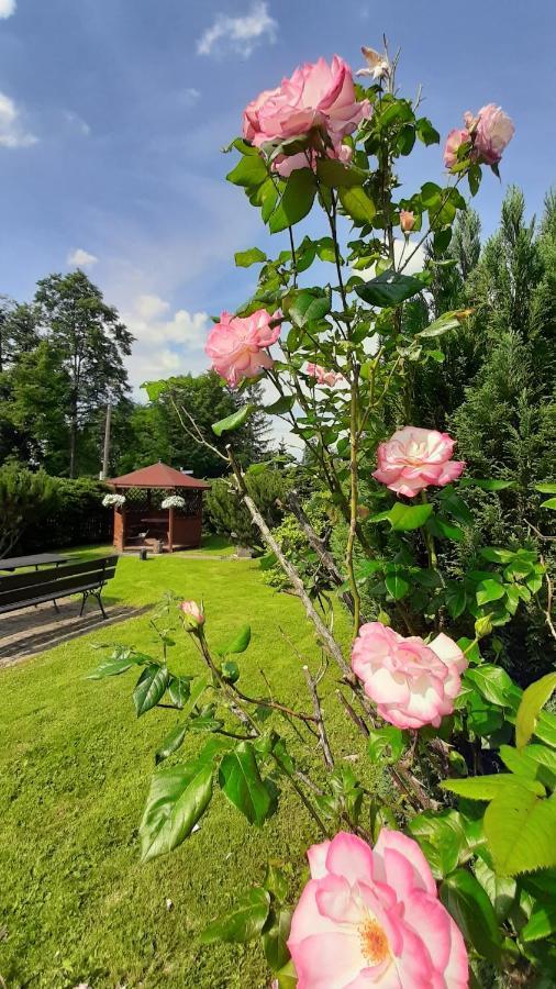 Pokoje Goscinne U Zosi Karpacz Exteriör bild